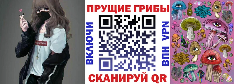 Псилоцибиновые грибы прущие грибы  наркота  Петрозаводск 